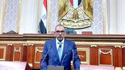 برلماني يطالب بزيادة مرتبات المعلمين والأطباء