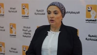 برلمانية لوزير المالية: لماذا التأخر في دخول مفاوضات مع الدائنين لإسقاط ديون مصر؟