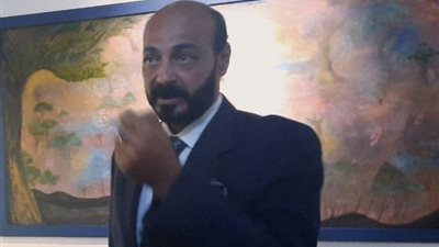 أمين الصيرفي لوزيرة الثقافة: 