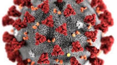 رويترز: 20 مليون شخص إجمالي إصابات فيروس كورونا في الهند