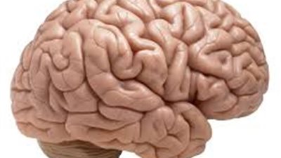 علماء كوريون يكتشفون تقنية حديثة للتحكم في المخ