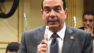 النائب أيمن أبو العلا يشيد بتوفير الكهرباء للمواطنين ويؤكد: حق من حقوق الإنسان يا مَن تهاجمون مصر  