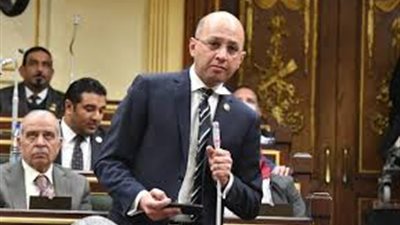 النائب هشام حسين: مصر حاربت الإرهاب نيابة عن العالم