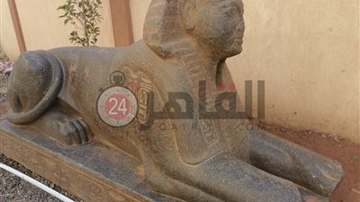 يرجع لعصر الرعامسة.. أول فيديو يوضح ملامح تمثال شبيه بـ