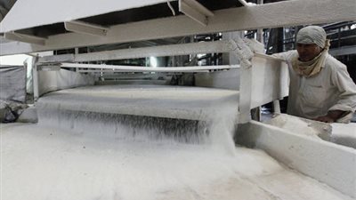 رئيس مصنع سكر نجع حمادي: إنتاج 500 ألف طن سنويا.. ونصنع الكحول والحلويات