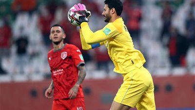 محمد الشناوي: حققنا المطلوب أمام الدحيل