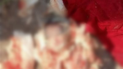 عامل نظافة يعثر على رضيع متوفى بجوار صندوق قمامة بالأقصر (صور)