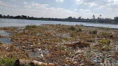 سكان عمارات كفر شكر بالقليوبية يشكون من انتشار الفئران والثعابين (صور)