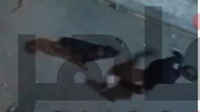 بلطجي يستخدم كلبه لترويع أصحاب المحال بشارع عيسوي ببولاق الدكرور