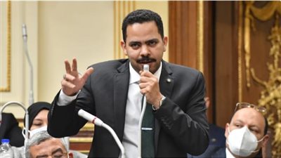 أشرف رشاد: 32% نسبة مشاركة نواب مستقبل وطن ولا تتماشى مع تمثيله