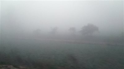 شبورة مائية كثيفة على طرق محافظة كفر الشيخ تحجب الرؤية  