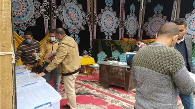 وسط إجراءات احترازية.. إقبال متوسط على انتخابات المحامين بشمال وجنوب البحيرة