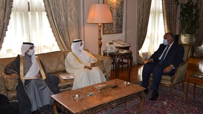 شكري: نرفض التدخلات الإقليمية في الشئون العربية