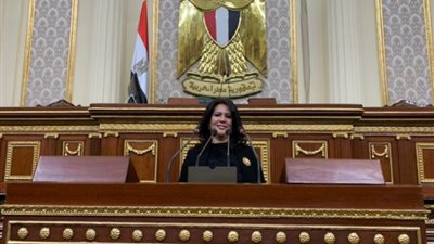 النائبة رانية الجزايرلي تعلن اعتزامها التقدم بمشروع قانون لتنظيم النسل