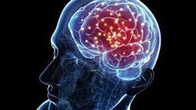 ما هو هرمون اللبتين أو الشبع؟ (فيديو)