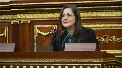 برلماني لوزيرة التخطيط: الرئيس منح الريف قُبلة الحياة بمبادرة حياة كريمة ويجب الاهتمام بقرى الشرقية