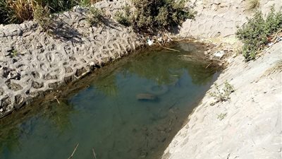 كارثة بيئية.. مصنع آيس كريم بسوهاج يلقي مخلفاته في ترعة تصب بالنيل.. والأهالي يستغيثون (صور وفيديو)