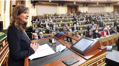 وزيرة الهجرة: سنتحمل النفقات الخاصة بالعالقين حتى يتم فتح الطيران للكويت