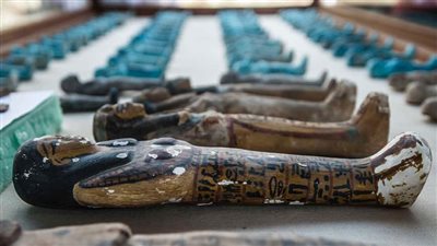 مصدر  يكشف عدد القطع الأثرية المعروضة بـ