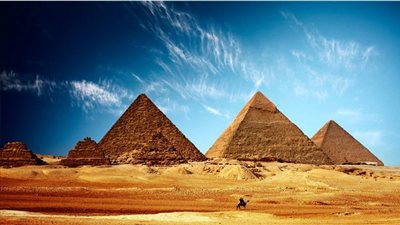 شركات السياحة: التأمينات الاجتماعية لن تعفى أحدًا  من سداد الرسوم