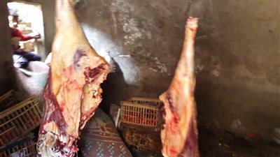 ضبط 8 طن ونصف لحمة مفرومة وكبدة فاسدة قبل طرحها بالأسواق داخل ثلاجة في القليوبية 