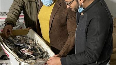 ضبط معمل تحاليل بدون ترخيص وأسماك فاسدة في حملة بالفيوم (صور)