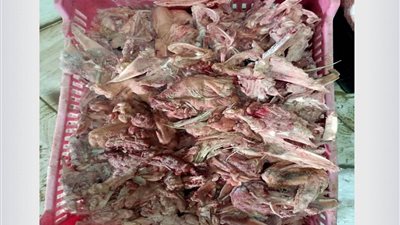 ضبط  2.5 طن لحوم غير صالحة للاستهلاك الآدمي داخل مطاعم بالإسكندرية (صور)