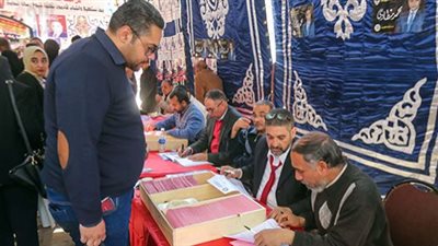 محامي بالإسكندرية عن تقدمه بطعن على انتخابات النقابة: لا أدعي التزوير بل الخطأ