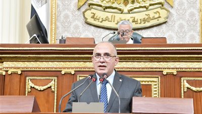 وزير الري يستعرض موقف الدولة تجاه سد النهضة أمام النواب