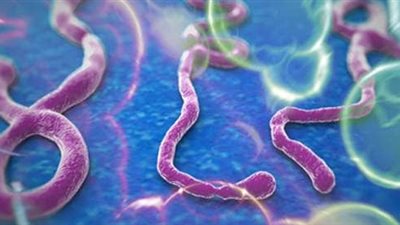 غينيا: عودة فيروس إيبولا من جديد وتسجيل ثلاث حالات وفاة حتى الآن