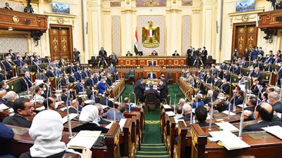 برلمانية تتقدم بطلب إحاطة حول اشتراطات تنفيذ شبكات الألياف الضوئية للمباني