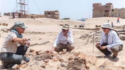 عضو بالبعثة الأثرية يكشف حقيقة الكشف عن مصنع ضخم لإنتاج الجعة بسوهاج