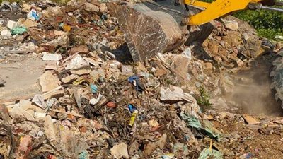 رفع 800 طن قمامة بغيط العنب في الإسكندرية (صور)