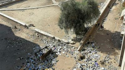 المحمودية بأسوان تتحول لمقلب قمامة .. والأهالي يستغيثون بالمحافظ (صور) 