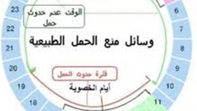 تعرفي على الوقت المناسب لحدوث الحمل