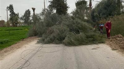 بسبب الطقس السيئ.. انقطاع الكهرباء عن بحري بمركز أسيوط