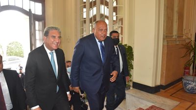 وزير الخارجية: نعمل على تقوية علاقتنا مع باكستان في مختلف المجالات