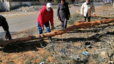 حالة الطقس اليوم.. سقوط 10 أشجار وقطع الكهرباء بقها ورئيس المدينة: جارٍ الإصلاح وعودة الحركة المرورية (صور) 