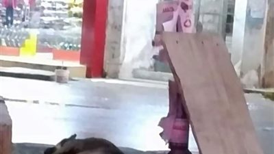 بسبب الطقس السيئ.. صعق كلب وفصل التيار الكهربائي عن شارع بطنطا 