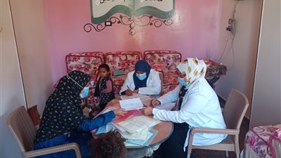 حملات ميدانية للتوعية بمنظومة التأمين الصحي الشامل الجديدة بمحافظة أسوان