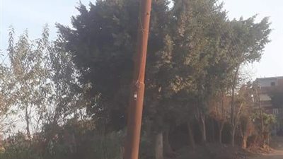 أهالي سمادون بالمنوفية يستغيثون من إهمال كهرباء أشمون لعمود كهربائي مائل (صور)