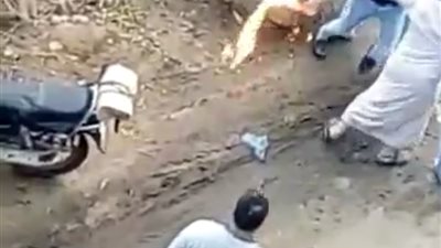 نجار يشعل النيران في صاحب فرن بسبب خلاف على دوره في الطابور (فيديو)