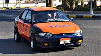 حبس شخصين لقيامهما بقتل سائق تاكسي وسرقته بالبحيرة 