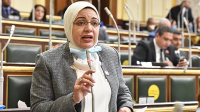 برلمانية بأسوان تتقدم بطلب لضم حاجر إدفو لمبادرة حياة كريمة (مستند)