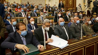 رئيس القوى العاملة بالبرلمان يطالب رجال الأعمال بتوجيه الاستثمارات نحو سيناء