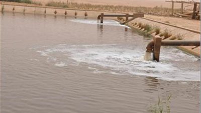 مياه المنوفية: الانتهاء من تنفيذ مشروعات بقيمة 9 ملايين جنيه