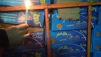 قبل طرحه في رمضان.. ضبط 49 طن زبيب غير صالح للاستهلاك الآدمي بالغربية