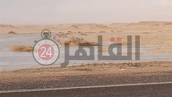 القاهرة 24