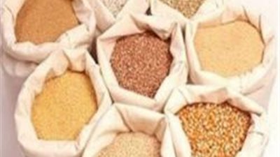 ضبط 90 طنًا من المواد الغذائية المغشوشة بالإسماعيلية