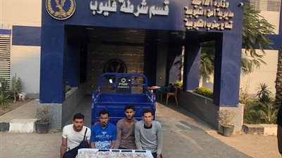 عصابة قليوب أمام النيابة: 